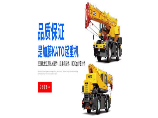 红桥区吊车出租公司电话_我们保质保量完成客户交代的施工任务